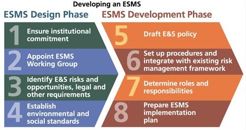 Developing an ESMS